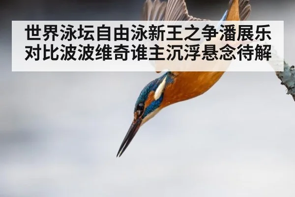 世界泳坛自由泳新王之争潘展乐对比波波维奇谁主沉浮悬念待解